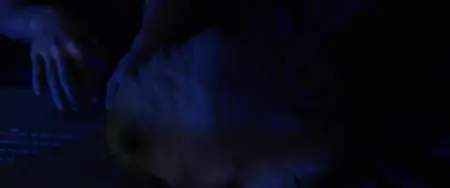 Cyber Bride (2019)