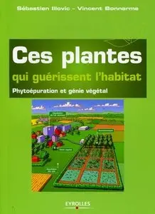 Ces plantes qui guérissent l'habitat : Phytoépuration et génie végétal