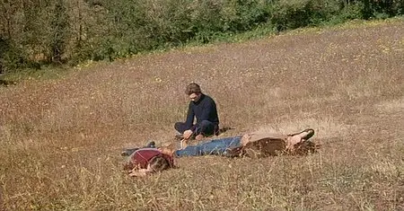 Il Prato (1979)