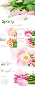 Spring flowers 15