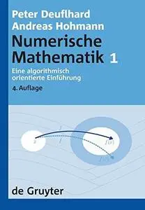 Numerische Mathematik: Eine algorithmisch orientierte Einfuhrung