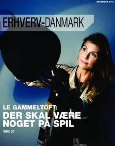 Erhverv-Danmark – november 2017