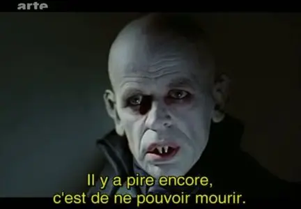 (Arte) Ennemis intimes (2011)