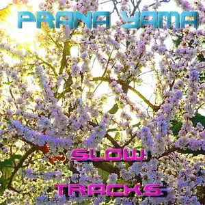 Prana Yama. 8 Albums (2009-2010)