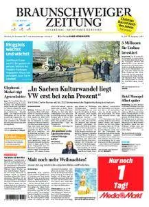 Braunschweiger Zeitung - 29. November 2017