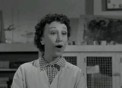 Revenge of the Creature (1955)