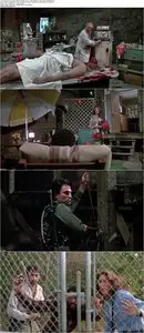 Day of the Dead (1985)