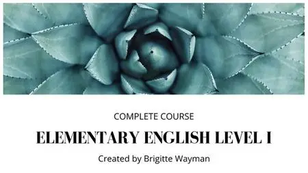 Elementary English Level I: Complete Course