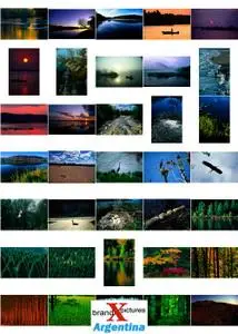 Brand X Vol. 045 Heartland