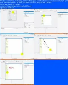 LiveLessons - C Sharp  2012 Fundamentals Parts I II III and IV