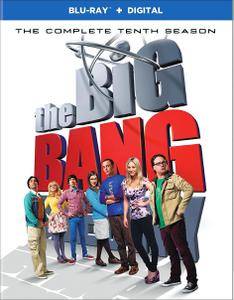 The Big Bang Theory S10 (2017) [Complete Season]