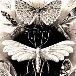 Medeski Martin & Wood - Radiolarians. The Evolutionary Set (2009) [5CD+DVD BoxSet] {Indirecto Records} [re-up]