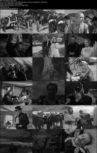 Rio Grande (1950)