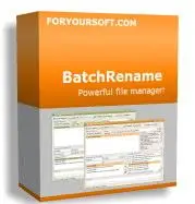 BatchRename Pro 3.32