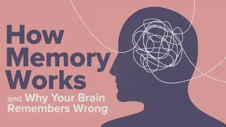 TTC Video - How Memory Works and Why Your Brain Remembers Wrong