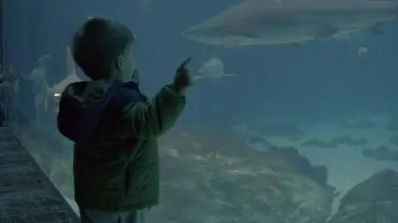 The Aquarium S02E06