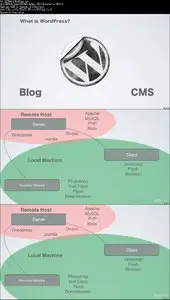 Udemy – WordPress.org Vs. WordPress.com: Getting Started