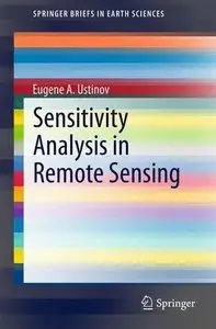 Sensitivity Analysis in Remote Sensing (Repost)