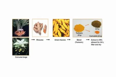 Latest in Clinical Nutrition - Volume 16