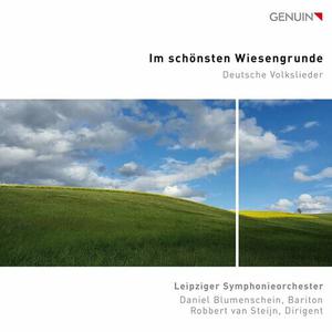 Daniel Blumenschein, Leipziger Symphonieorchester, Robbert van Steijn - Im schönsten Wiesengrunde (2022)