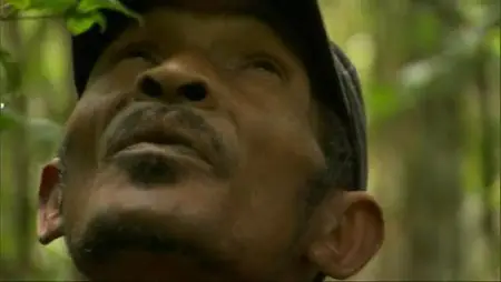 BBC - Madagascar with David Attenboroughs (Repost)