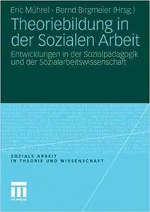 Theoriebildung in der Sozialen Arbeit