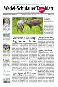 Wedel-Schulauer Tageblatt - 30. Juli 2019