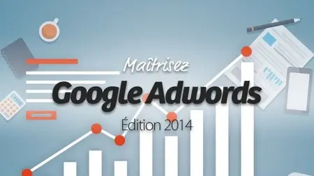 Maîtrisez Google Adwords 2014 - Ludovic Barthélémy