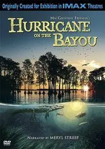 Hurricane on the Bayou (2006)