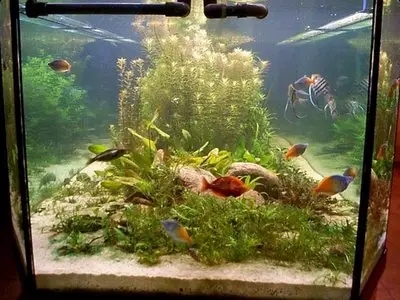 AQUARIX 4.16 + Rus