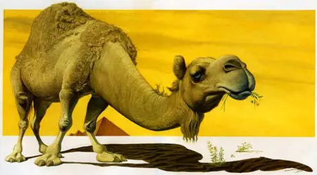Artworks of Charles Santore