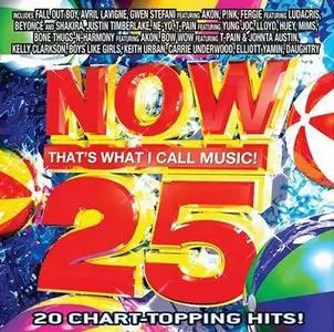 VA - Now That's What I Call Music 25 (2007)