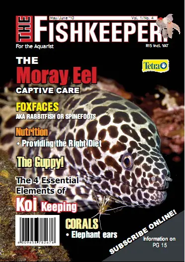 The Fishkeeper Magazine Vol.1 No.4