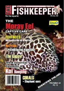 The Fishkeeper Magazine Vol.1 No.4