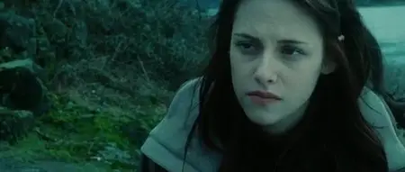 Twilight (2008)