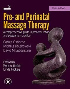 Pre- and Perinatal Massage Therapy: A comprehensive guide to prenatal, labor and post-partum practice, 3rd Edition