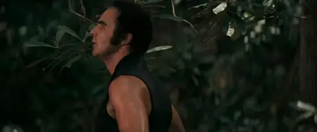 Deliverance (1972)