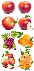 Apples, grapes, orange and apricot vector