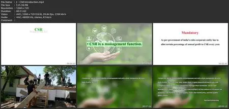 Corporate Social Responsibility Strategy (Csr)