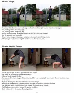 Bodyweight Evolution  three phase 12 week training program for muscle growth using bodyweight exercises. by Daniel Vadnal