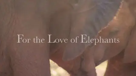 CBC - The Nature of Things: For the Love of Elephants (2010)