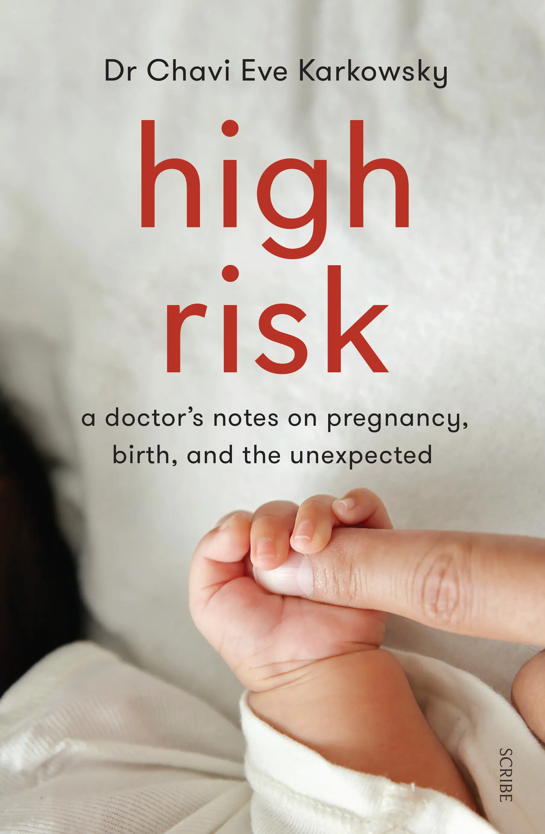High Risk: a doctor's notes on pregnancy, birth, and the unexpected