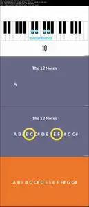 The Elements of Music: Music Theory and Foundations!