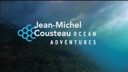 PBS - Ocean Adventures: Sea Ghosts (2008)