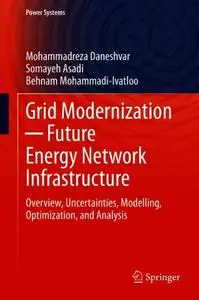Grid Modernization ─ Future Energy Network Infrastructure: Overview, Uncertainties, Modelling, Optimization, and Analysis
