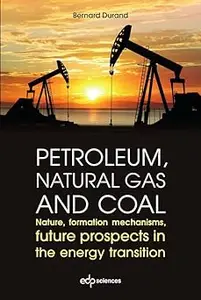 Petroleum, natural gas and coal: Nature, formation mechanisms, future prospects in the energy transition