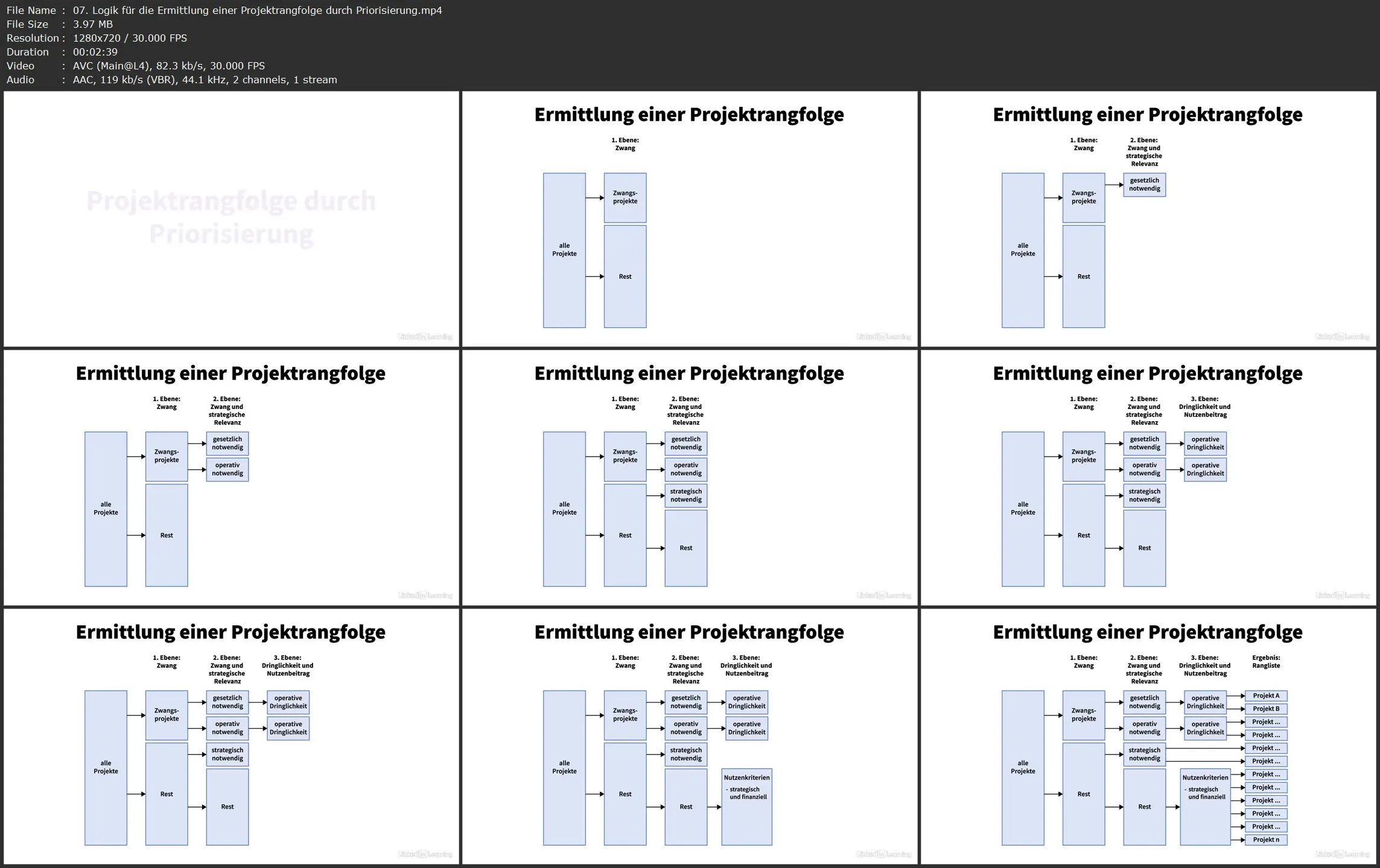 Multiprojektmanagement und Projektportfoliomanagement – Grundlagen