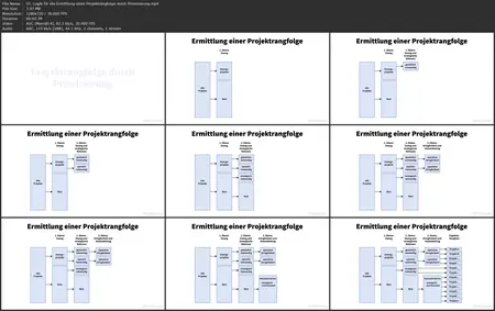 Multiprojektmanagement und Projektportfoliomanagement – Grundlagen