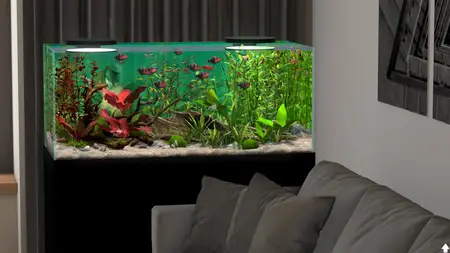 Behind Glass Aquarium Simulator (2025)