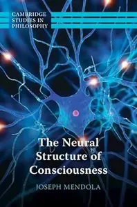 The Neural Structure of Consciousness